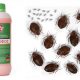 Какое безвредное средство от клопов подойдет для человека?