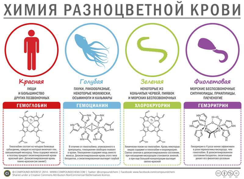 Пигменты, влияющие на цвет крови