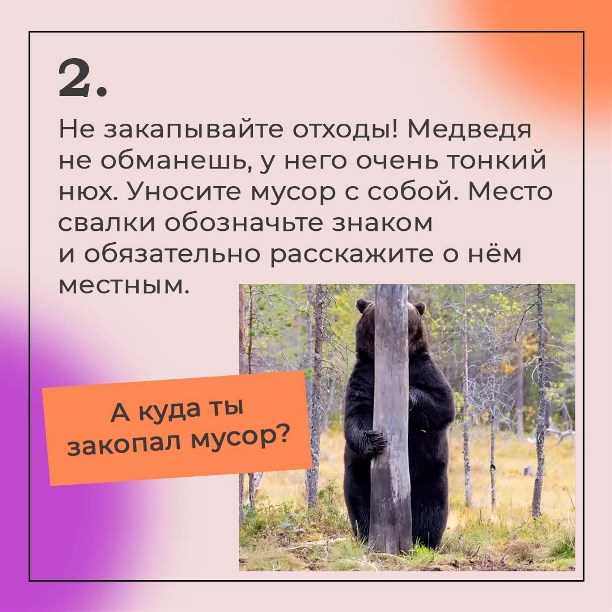 Реакция медведей на определенные звуки