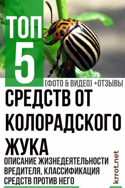 Какой средства лучше взять от колорадского жука название и норма препарата?