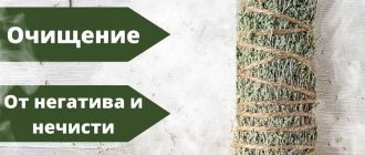 Топ-5 трав, которые помогут очистить дом от негатива