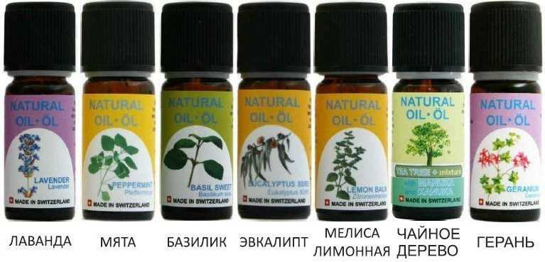 Почему лаванда отпугивает насекомых?
