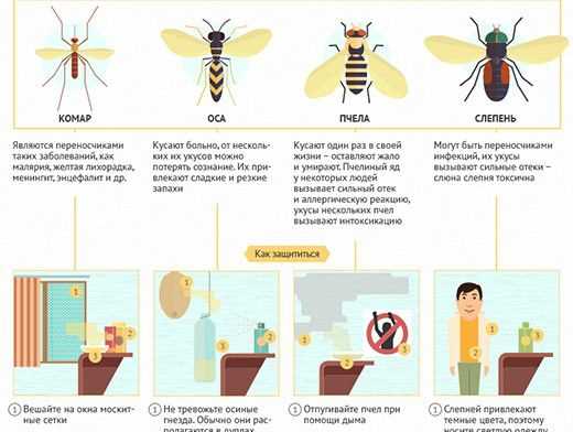Как чайное дерево действует на насекомых?