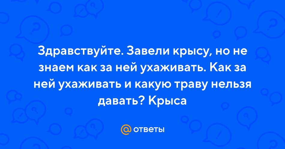 Как различить безопасные и опасные травы