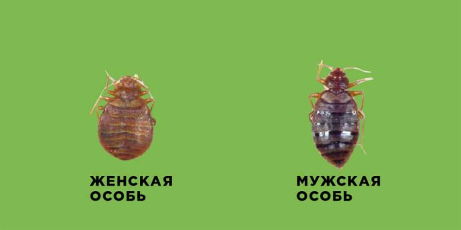 Скрытные уголки