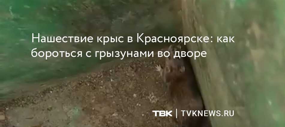 Роль городских служб