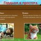 Сравнение умственных способностей собак и кошек: статистика