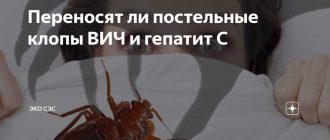 Можно ли заразиться ВИЧ от клопов? Обзор рисков и способы предотвращения