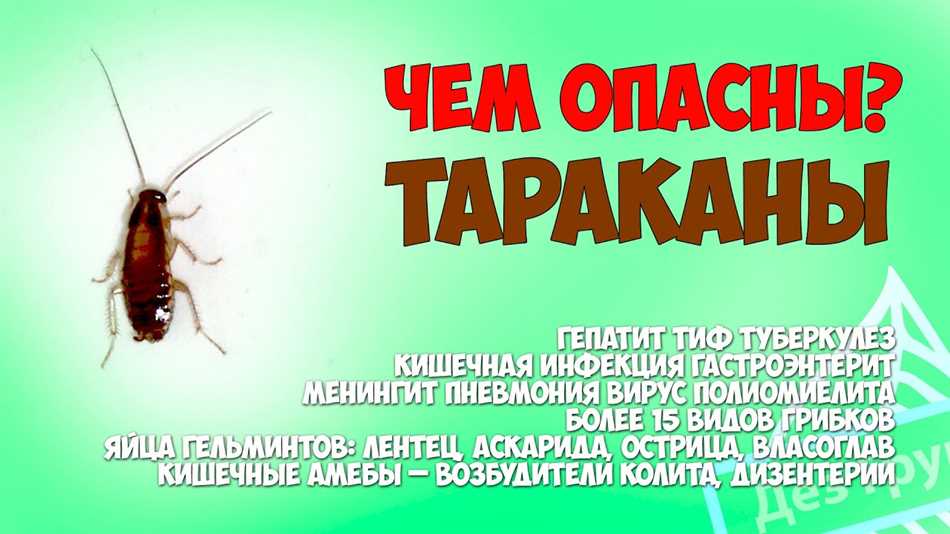 Раздел 1.2: Могут ли тараканы есть все продукты?