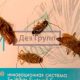 Могут ли тараканы появиться сами по себе?