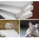 Может ли мышь прогрызть пластик? Влияние мышей на пластиковые изделия