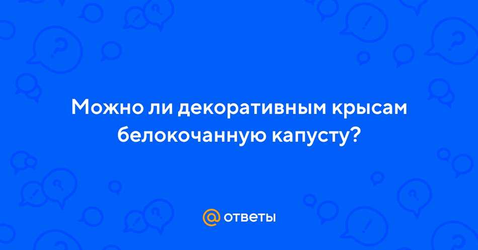 Чем полезна белокочанная капуста для человека?