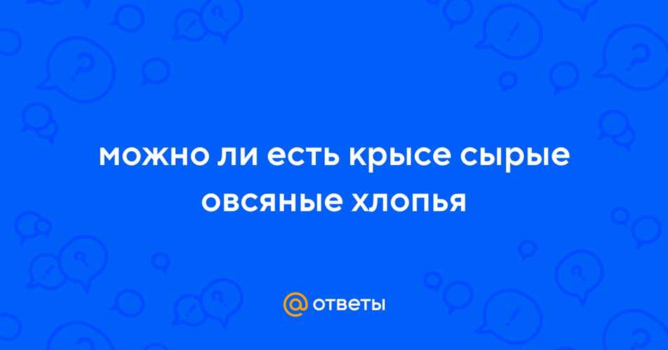 Шаг 2: Приготовьте отваренные овсяные хлопья