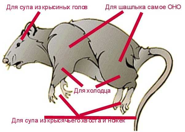 4. Исследуйте мировые кухни