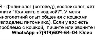 Опасно ли использовать карандаш для тараканов, если у вас есть кошка?