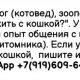 Опасно ли использовать карандаш для тараканов, если у вас есть кошка?