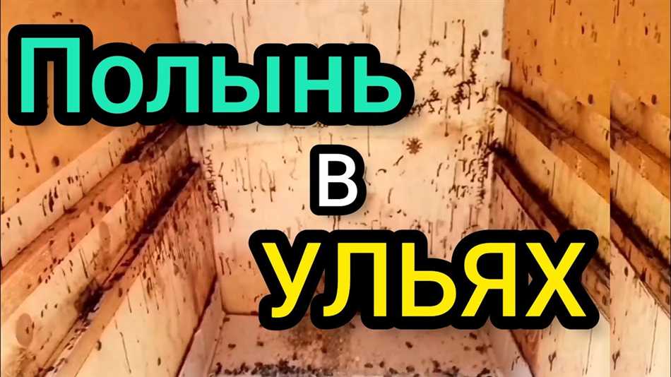 Можно ли класть полынь в улей?