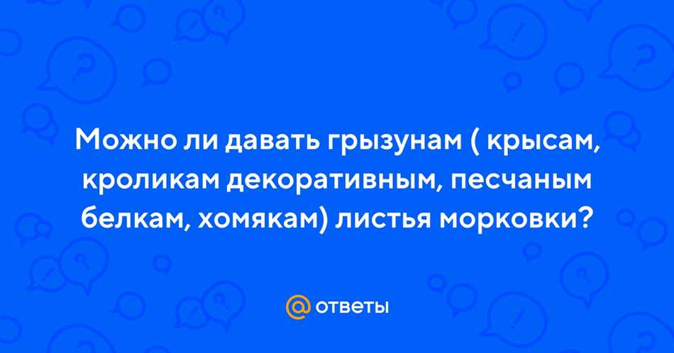 Можно ли крысам ботву от морковки?