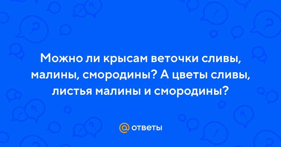 Пищевые потребности крыс