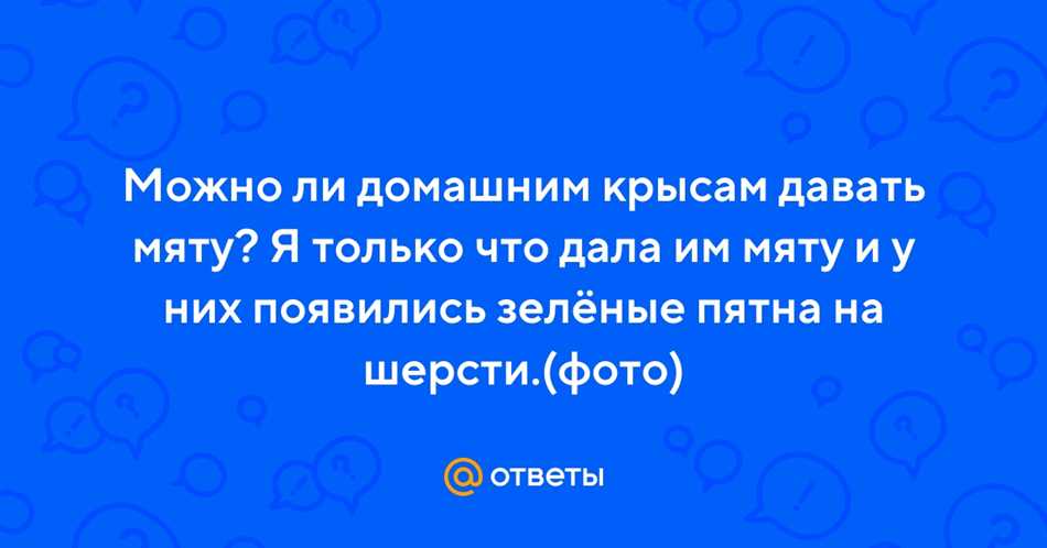 Подзаголовок 1: Опыты с крысами и мятой