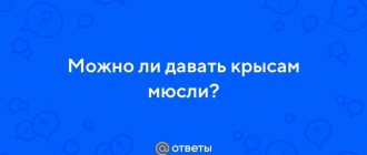 Можно ли крысам мюсли?