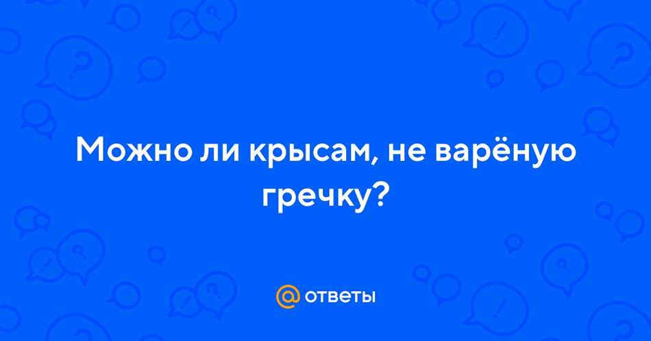 Можно ли крысам не свареную гречку?