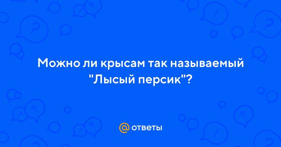 Правильное питание для крыс: