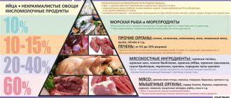 Можно ли крысам сушки и как это влияет на их организм?