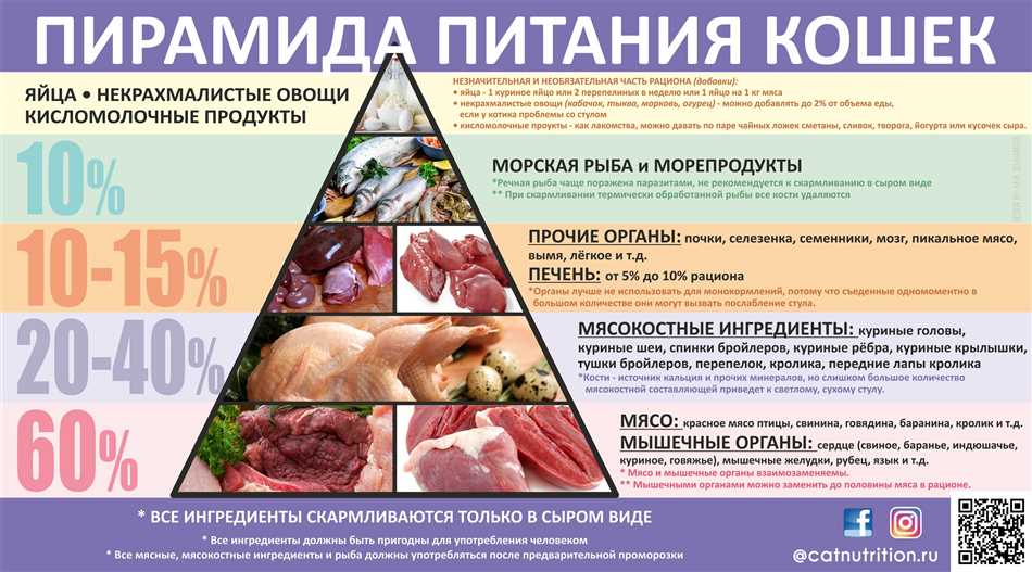 Можно ли крысам сушки?