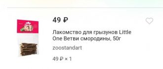 Можно ли крысам сухие макароны? Вред или польза?