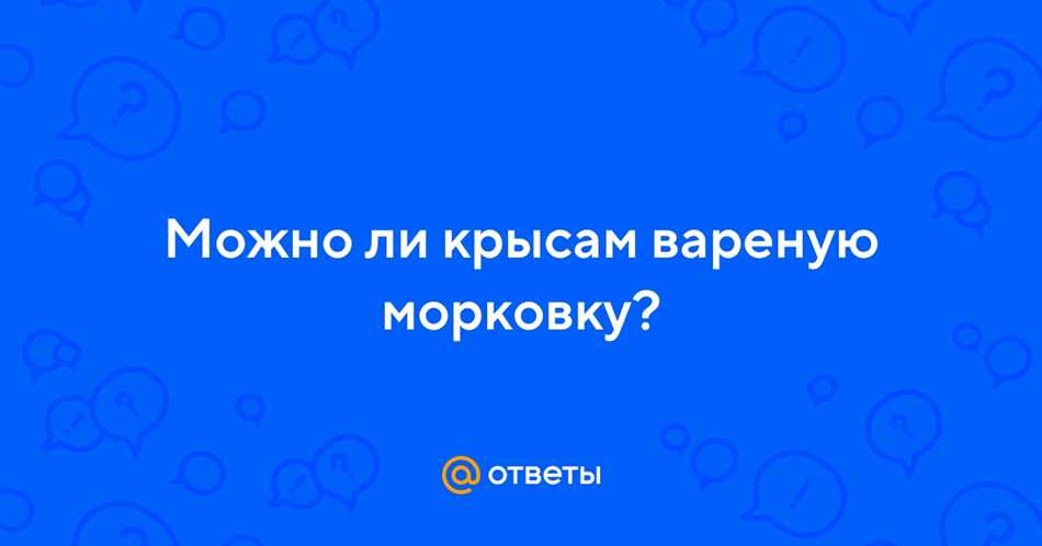 Рекомендации по включению моркови в крысиную диету