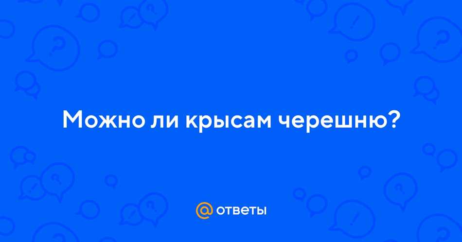 Можно ли крысе давать черешню?