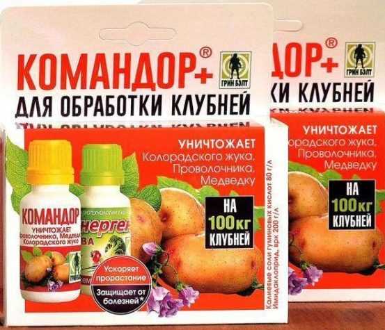 Как происходит цветение картофеля?