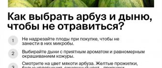 Можно ли отравиться тутовником? Потенциальная опасность от употребления тутовника и меры предосторожности