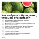 Можно ли отравиться тутовником? Потенциальная опасность от употребления тутовника и меры предосторожности