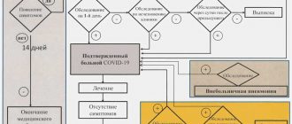 Дезинфекция в присутствии людей: возможно ли проводить процедуру?
