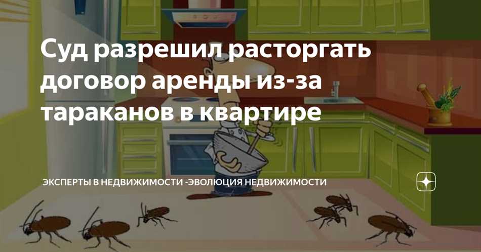 Что делать, чтобы предотвратить появление тараканов?