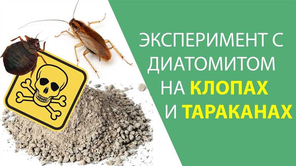 Что такое дуст и каким образом он уничтожает клопов?