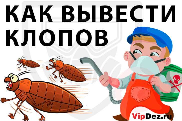 Почему вода является удобным растворителем для дуста?