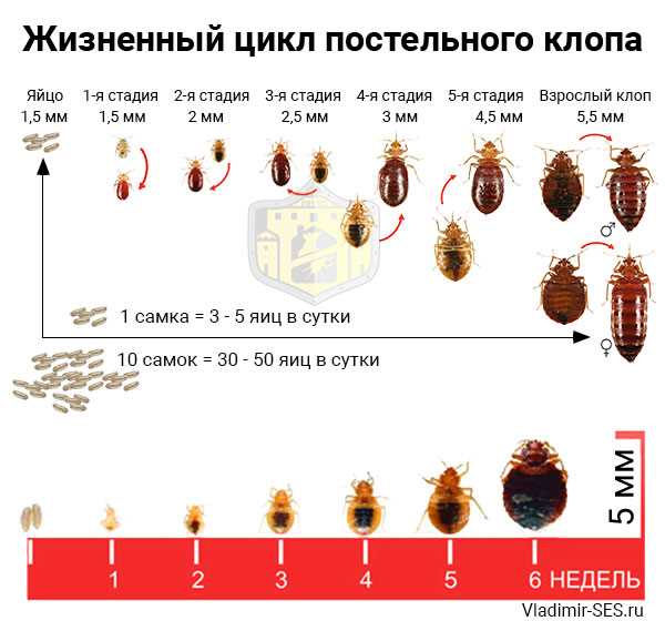 Преимущества