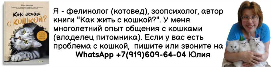 Раздел 4: Какие средства от тараканов могут быть опасны для кошек?