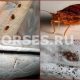 Можно ли заразиться чем-то от клопов? Подробная информация и способы защиты