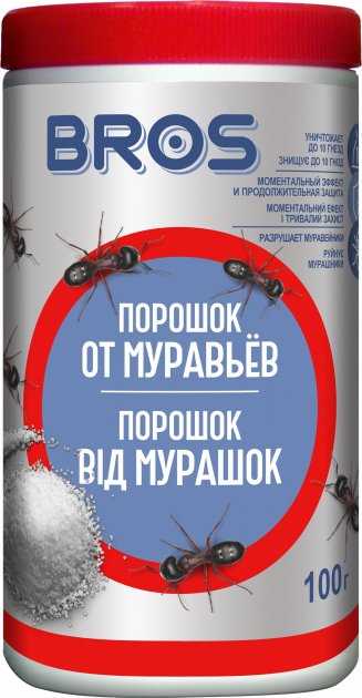 Муравьи и человек: что нужно знать о их встрече