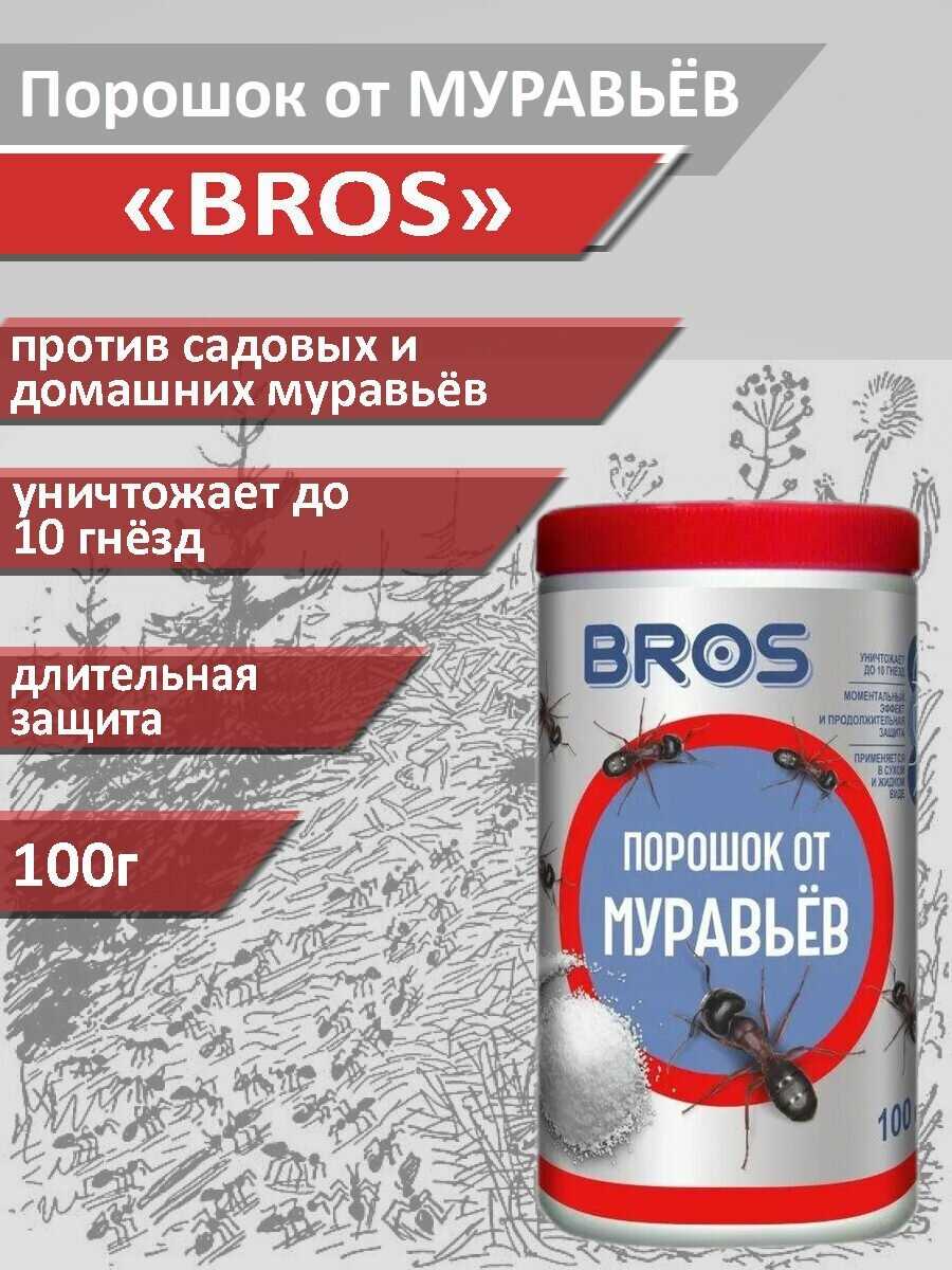 Что в муравейнике? Особенности поведения и строения муравьев