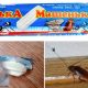Мелок от тараканов: насколько опасен для человека?
