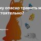 Опасность мышиного яда для человека: что нужно знать?