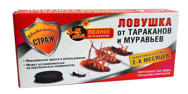 Виды насекомых-муравьедов