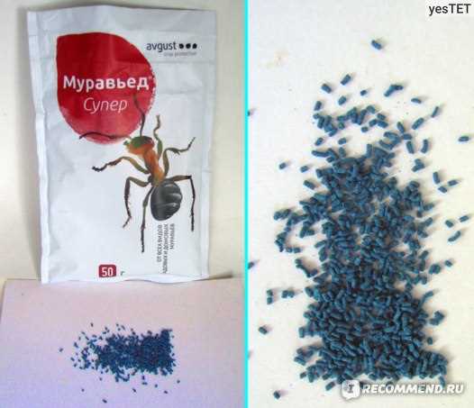 Опасен ли отрава для насекомых муравьед для человека?