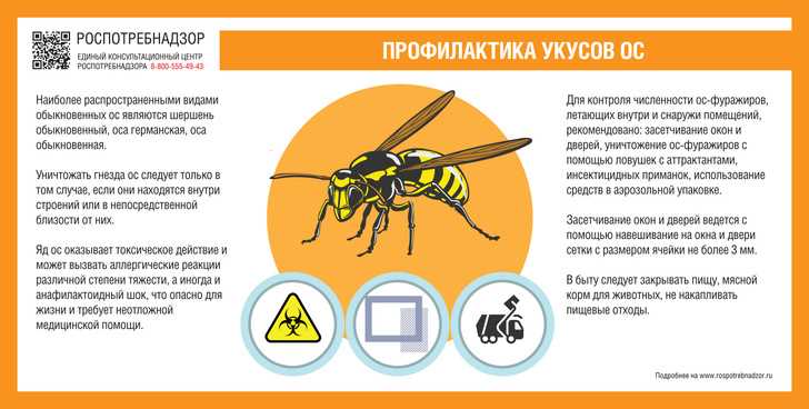 Локальные реакции