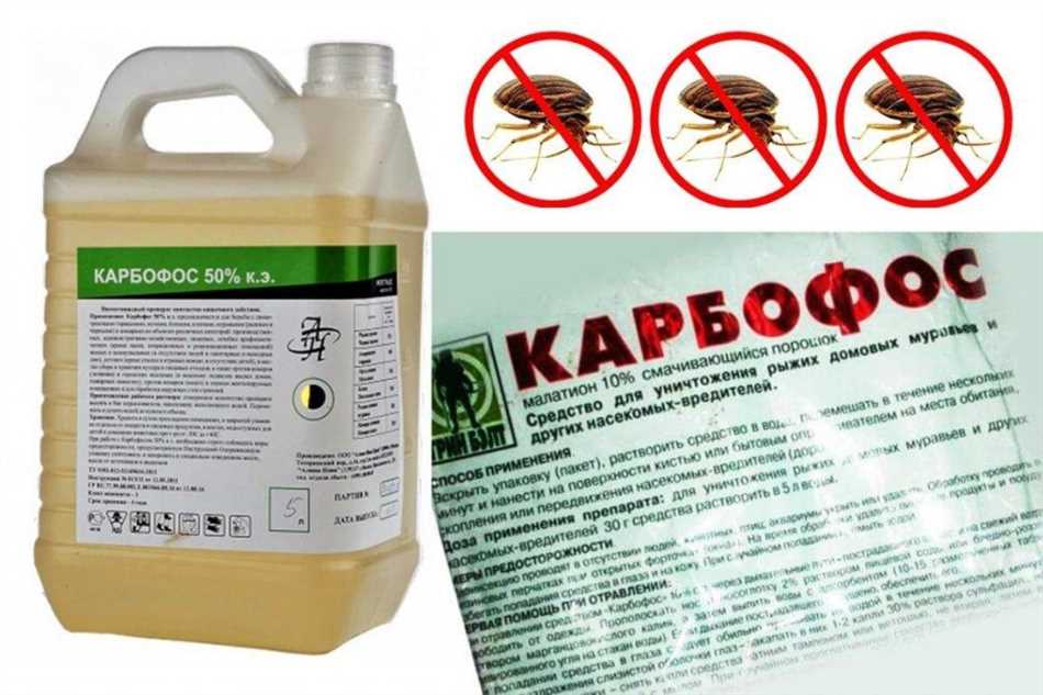 Муравьи